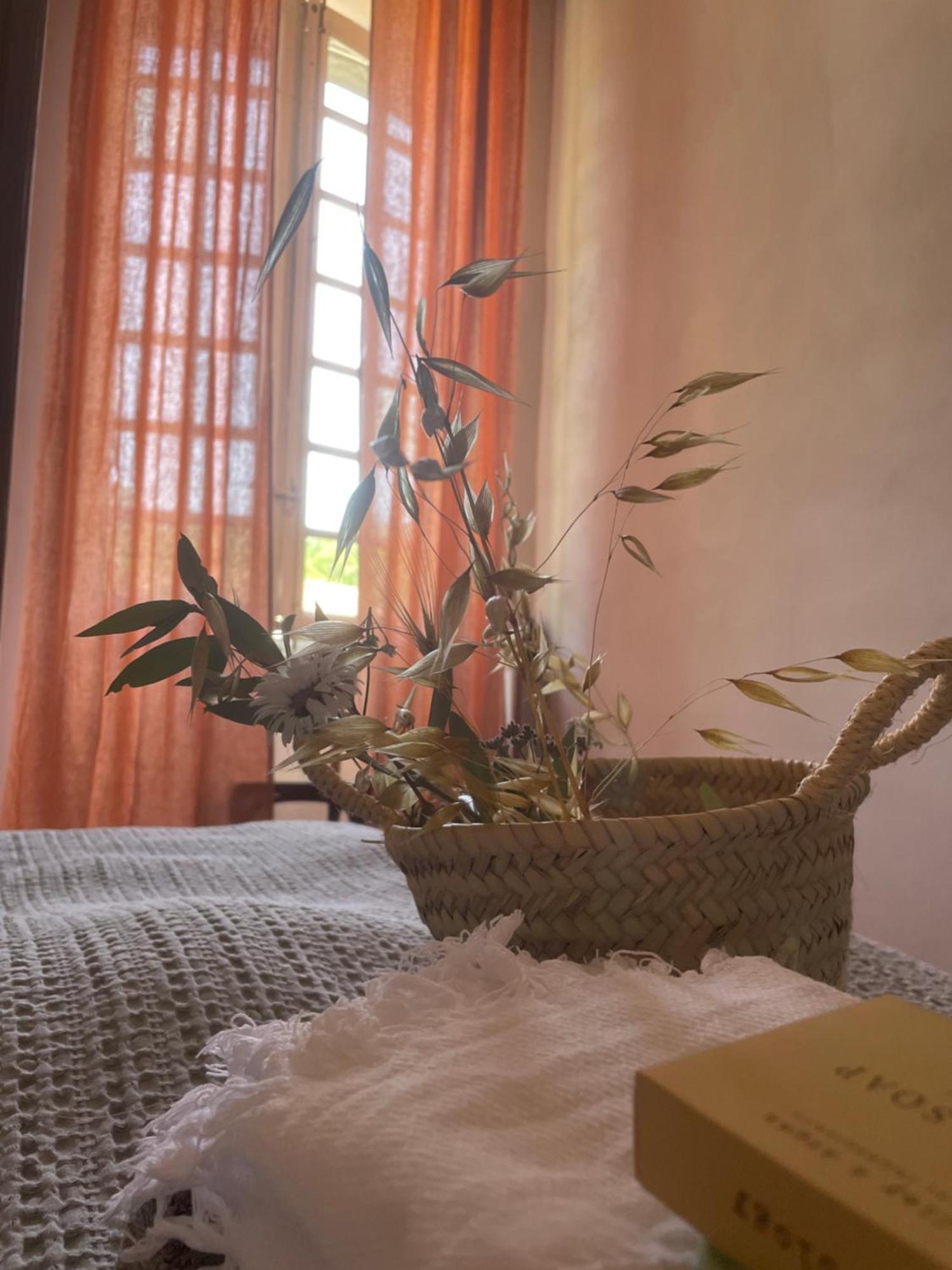 La Manufacture Royale Hotel Montolieu Ngoại thất bức ảnh
